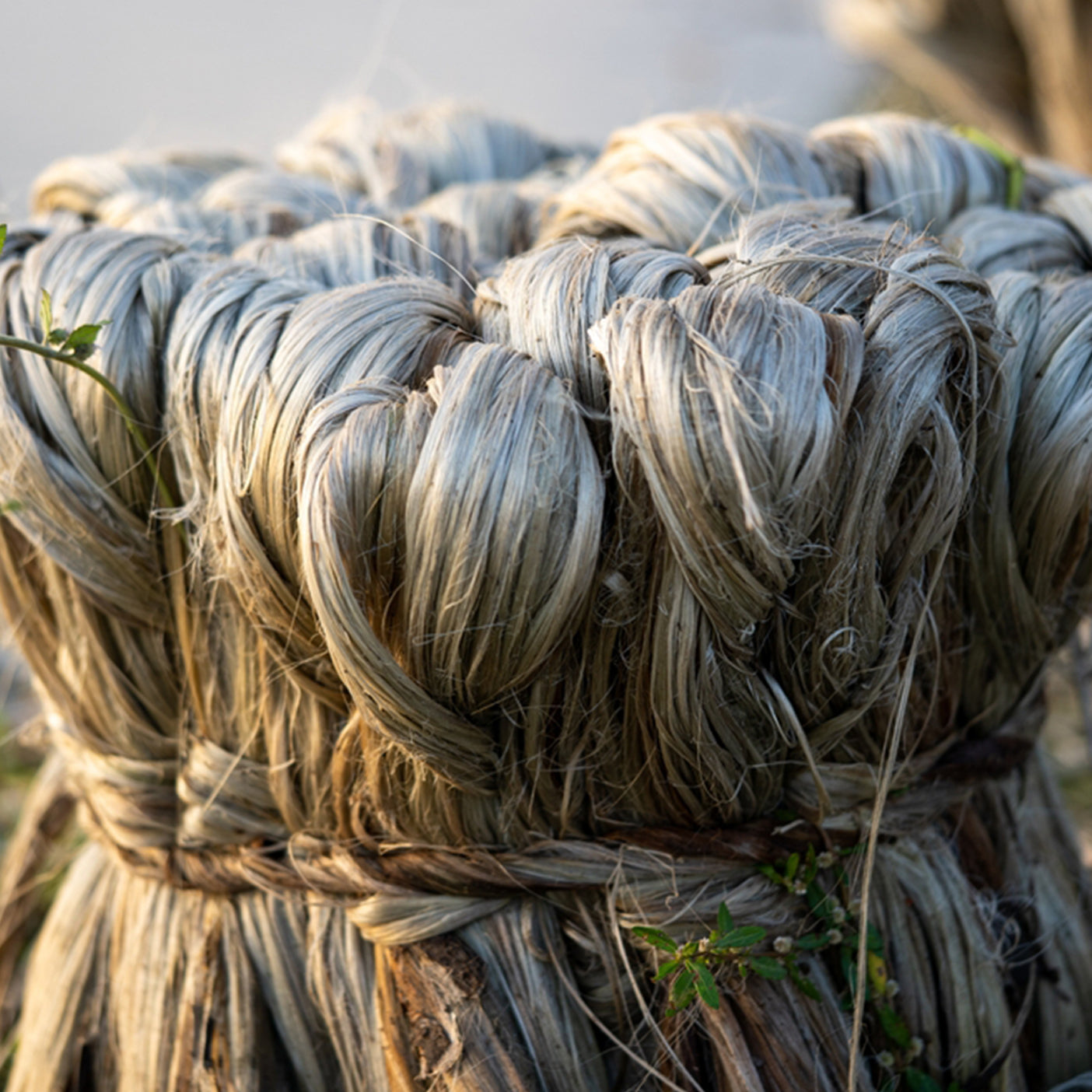 natural jute