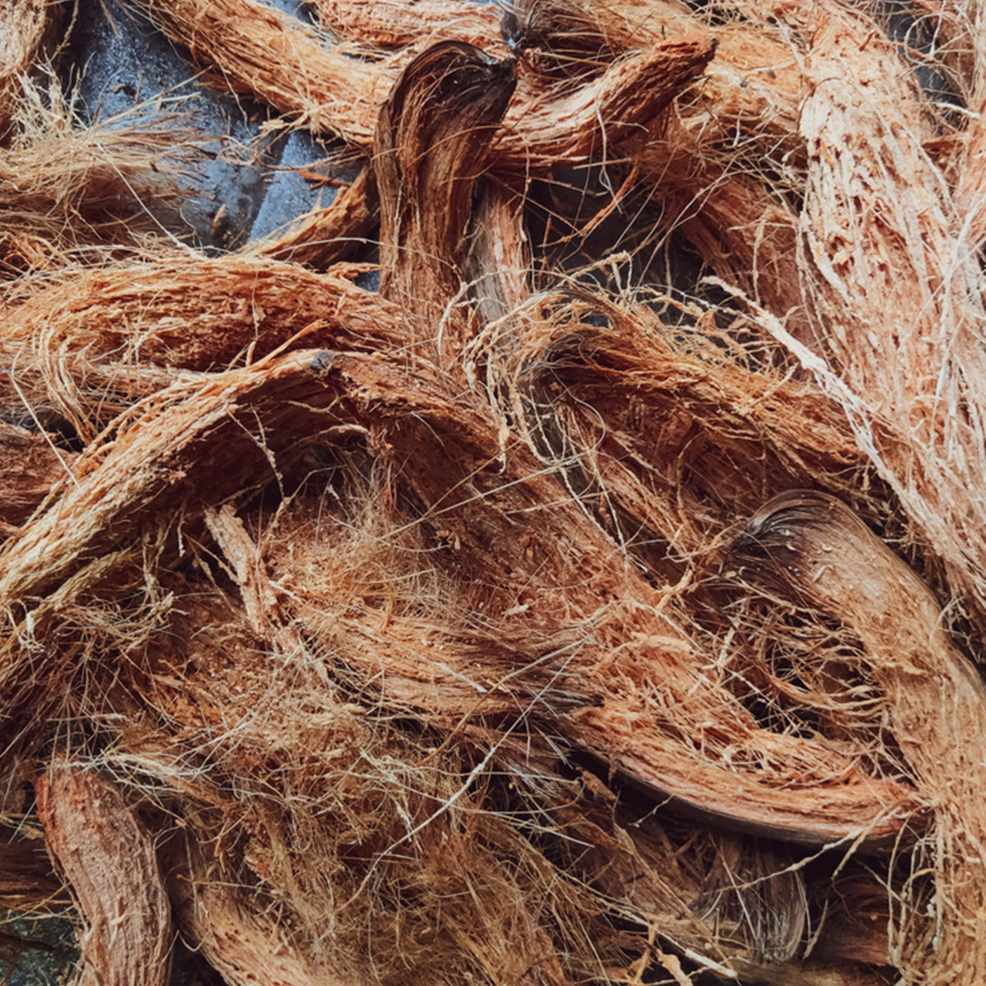 Coir