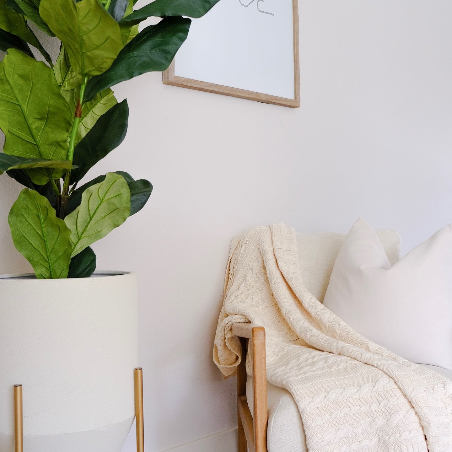 Organic Cotton & Cable Knit Throw Blankets