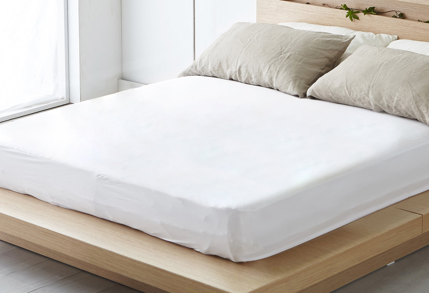 Mattress Protector pagefly.jpg__PID:99579a9e-41b8-4d5a-8562-bb7d15ed6c4a