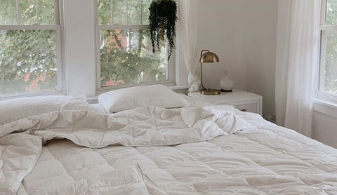 Wool Vs Cotton Vs Micro Fiber: Which Comforter Is Best For You?