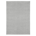 Washable PET Outdoor Rug (Light Grey) - Delara