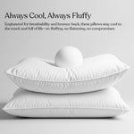 Delara Down Alternative Sleep Pillows – Set of 2 - Delara