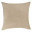 Everywhere Velvet Throw Pillow