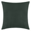 Everywhere Velvet Throw Pillow