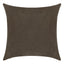 Everywhere Velvet Throw Pillow