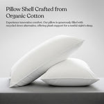 Delara Down Alternative Sleep Pillows – Set of 2 - Delara