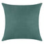 Everywhere Velvet Throw Pillow