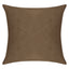 Everywhere Velvet Throw Pillow