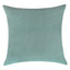 Everywhere Velvet Throw Pillow
