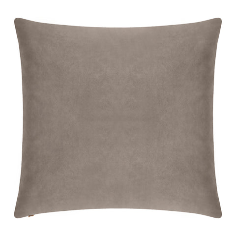Everywhere Velvet Throw Pillow