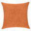 Everywhere Velvet Throw Pillow