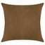 Everywhere Velvet Throw Pillow