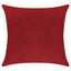 Everywhere Velvet Throw Pillow