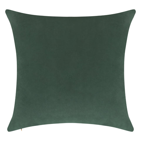 Everywhere Velvet Throw Pillow