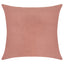 Everywhere Velvet Throw Pillow