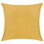 Everywhere Velvet Throw Pillow
