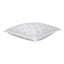 Organic Cotton Euro Sham Pair (Lio Ivory)