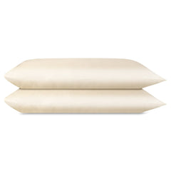 AirySilk Austrian Eucalyptus Pillowcase Pair - DelaraHome