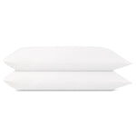 AirySilk Austrian Eucalyptus Pillowcase Pair - DelaraHome