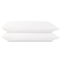 AirySilk Austrian Eucalyptus Pillowcase Pair - DelaraHome