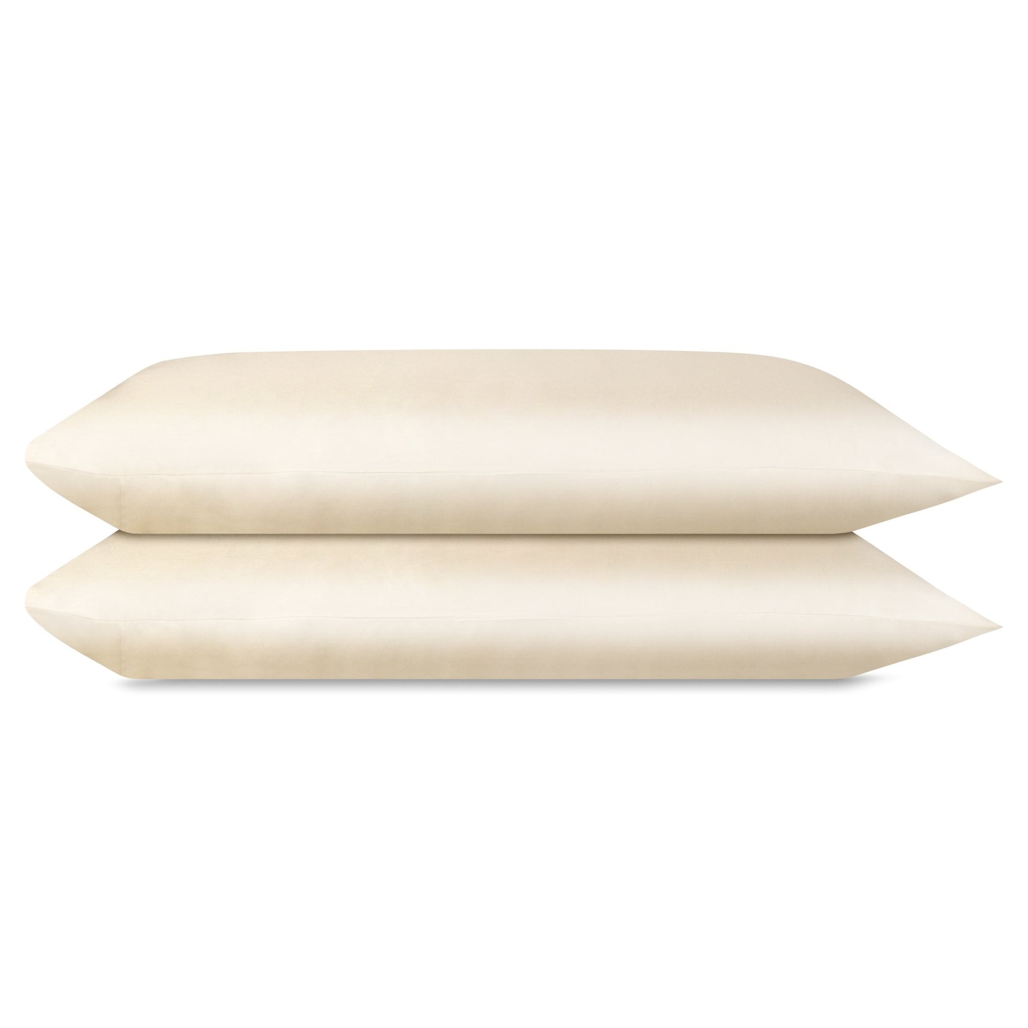 AirySilk Austrian Eucalyptus Pillowcase Pair (Fog) - DelaraHome
