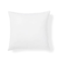 Down and Feather Organic Pillow Insert Pair - DelaraHome